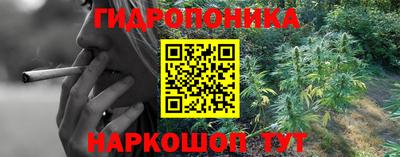 ГАЛЛЮЦИНОГЕННЫЕ ГРИБЫ Краснознаменск