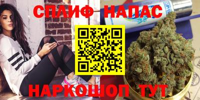 ГАЛЛЮЦИНОГЕННЫЕ ГРИБЫ Краснознаменск
