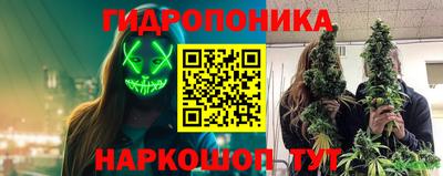 ГАЛЛЮЦИНОГЕННЫЕ ГРИБЫ Краснознаменск