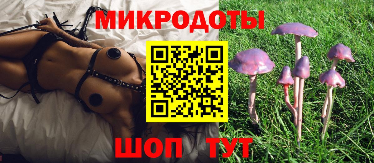 Котельники  Псилоцибиновые грибы GOLDEN TEACHER  Вход с VPN 