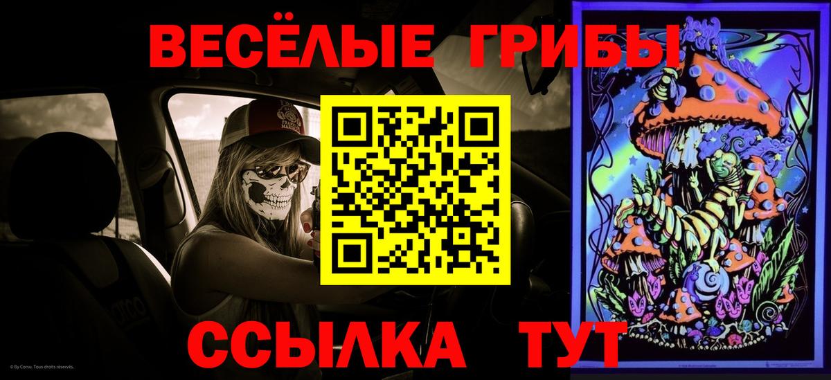 Псилоцибиновые грибы прущие грибы Котельники